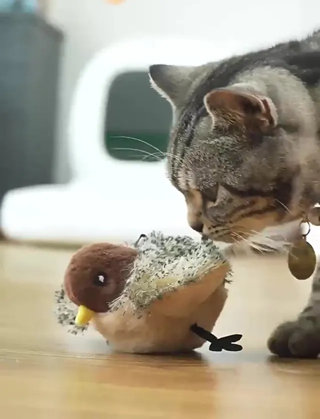 Flapping Bird Cat Toy: An Interactive Addition to Your Range