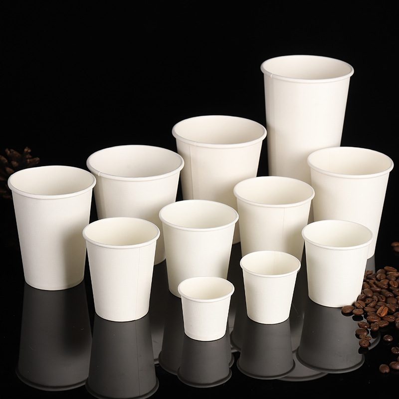Disposable Cup Manufacture Workshop