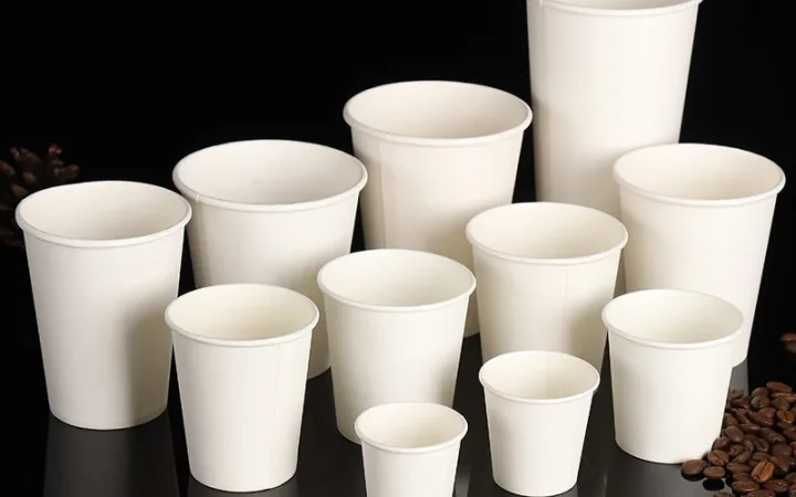 Disposable Cup Manufacturing Workshop