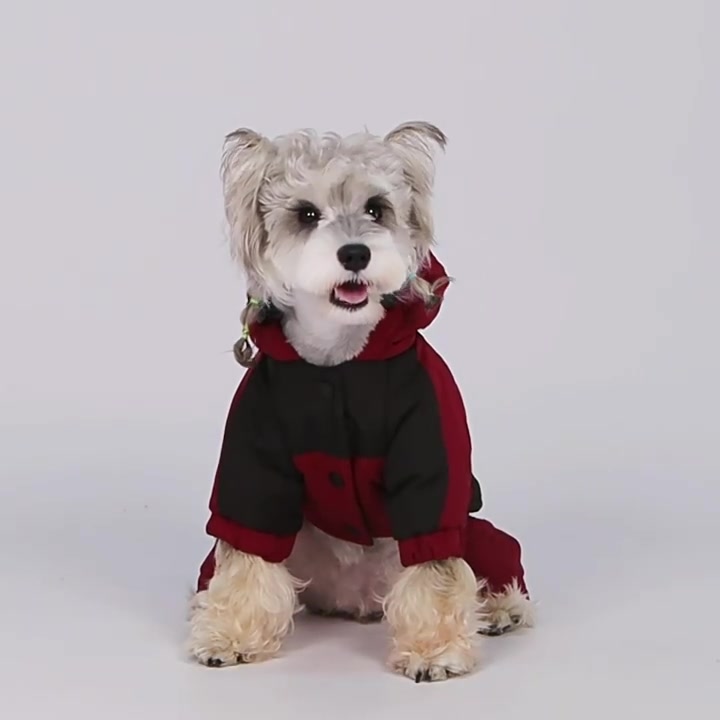 Ropa impermeable y t&eacute;rmica para mascotas: Un mercado con enorme potencial de crecimiento